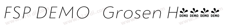 FSP DEMO   Grosen H字体转换